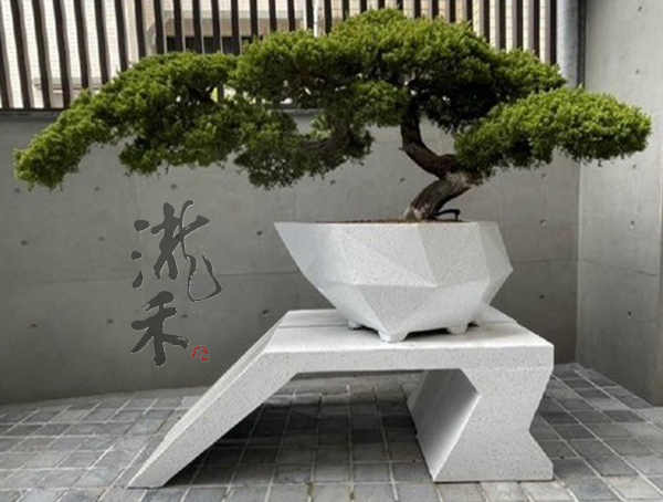 景觀植物