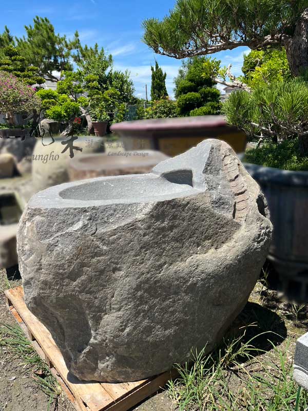 景觀植物