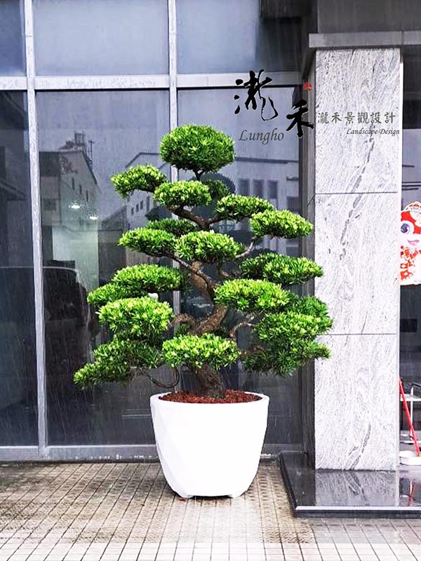 景觀植物