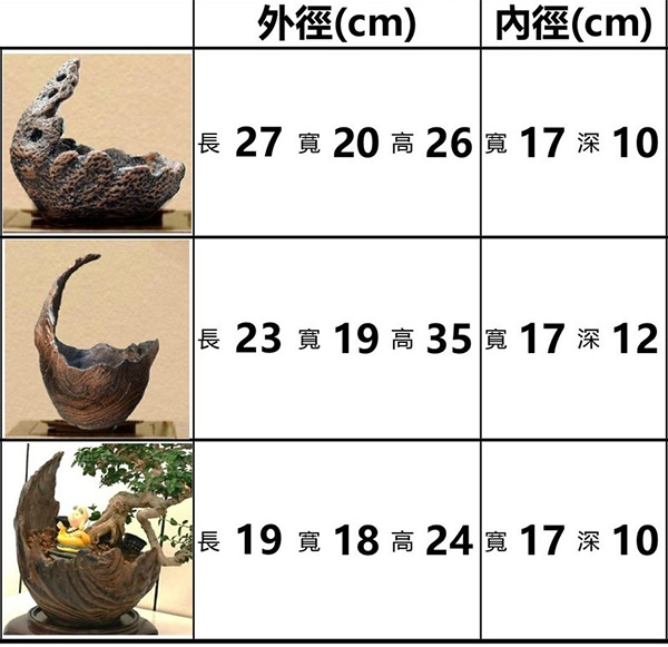 景觀植物